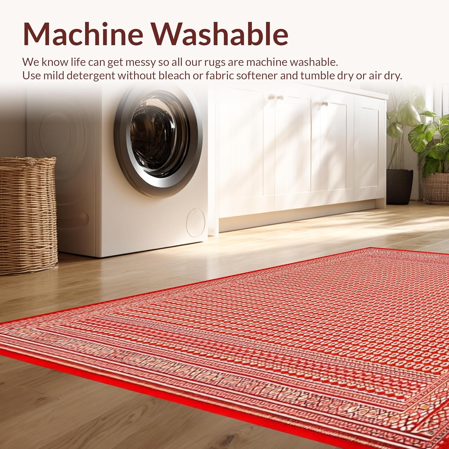 Ultra Soft 4x6 Area Rug Non Slip Stain Resistant