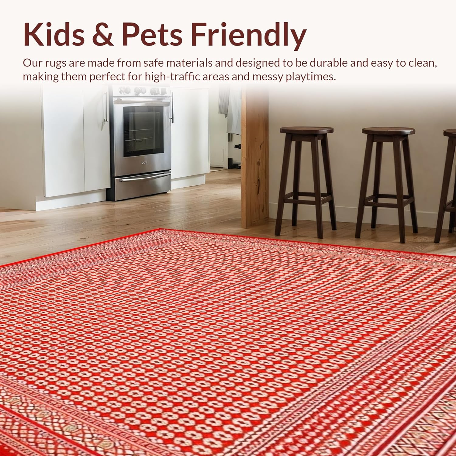 Ultra Soft 4x6 Area Rug Non Slip Stain Resistant